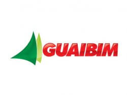 Logo Guaibim