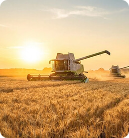 Seguros para Agronegócios