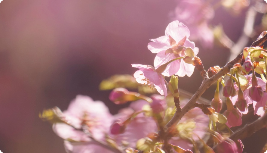 Relatório de Sustentabilidade
