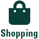 shopping2