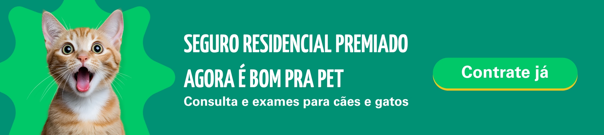Assistência Pet