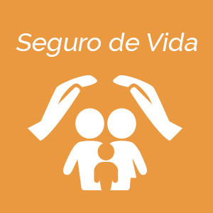 Seguro de Vida | Sinistro | Tokio Marine Seguradora